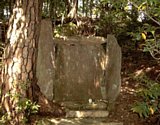 dsc111.jpg