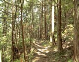 dsc112.jpg