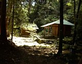 dsc115.jpg