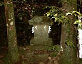 dsc116.jpg
