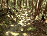 dsc120.jpg
