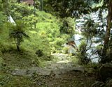 dsc122.jpg