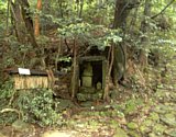 dsc008.jpg