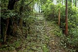 dsc009.jpg