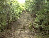 dsc011.jpg