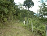 dsc012.jpg