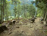 dsc017.jpg