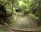 dsc019.jpg