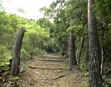 dsc020.jpg