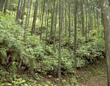 dsc021.jpg