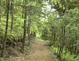 dsc024.jpg