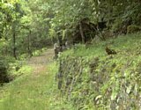 dsc025.jpg