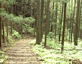 dsc032.jpg