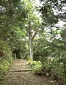 dsc034.jpg