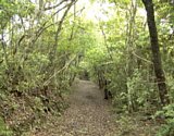 dsc037.jpg