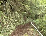 dsc038.jpg