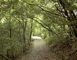 dsc040.jpg