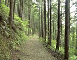 dsc044.jpg