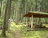 dsc049.jpg