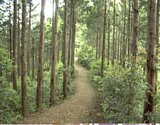 dsc050.jpg