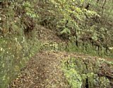 dsc051.jpg