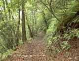 dsc063.jpg