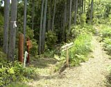 dsc066.jpg