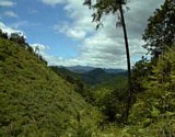 dsc067.jpg