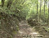 dsc068.jpg