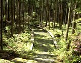 dsc070.jpg