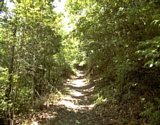 dsc073.jpg
