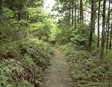 dsc074.jpg