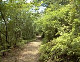 dsc077.jpg