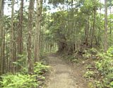 dsc079.jpg