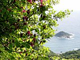 p4260126a.jpg