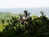 p4260129a.jpg
