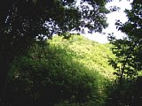 p4260132a.jpg