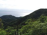 p4260144a.jpg
