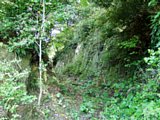 p4260081.jpg