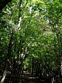 p4260101.jpg