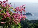 p4260134.jpg