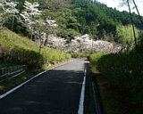 nh132.jpg