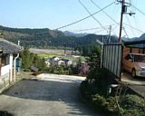 nh185.jpg