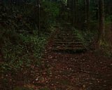 dscf0005.jpg