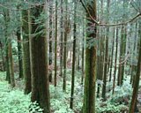 dscf0007.jpg