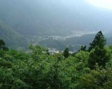 dscf0015.jpg