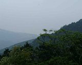 dscf0016.jpg