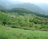 dscf0019.jpg