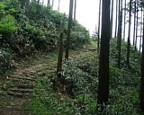 dscf0020.jpg