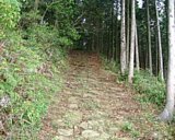 dscf0021.jpg